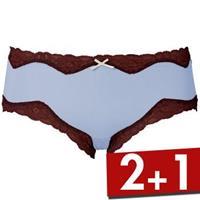 Triumph Brief Micro and Lace Hipster 15 
