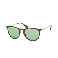 Ray-Ban Sonnenbrillen Ray-Ban RB4171 Erika 6393/2