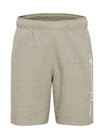 Champion Sweatshorts, Baumwollmix, meliert, für Herren, grau, L