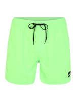 Quiksilver M Everyday Volley 15 Swimshort 2020