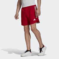 Adidas - Condivo 20 Shorts - Voetbalshorts