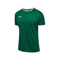 Hummel Voetbalshirt Authentic Poly - Groen Kinderen