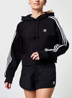 Adidas Originals Hoodie »ADICOLOR CLASSICS CROP«