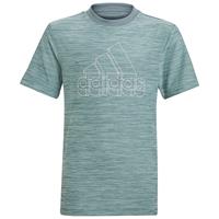 Adidas B a.r htr tee