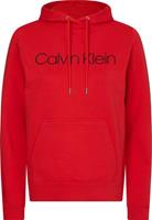 Calvin Klein Kapuzensweatshirt »LS CORE LOGO HOODIE« mit  Logo-Schriftzug