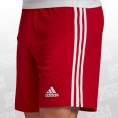 Adidas Squadra 21 Shorts Heren - Heren