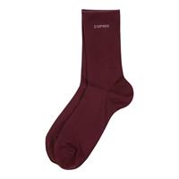 Esprit Socken "Basic Pure", 2er-Pack, für Damen, dunkle beere