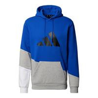 adidas Performance Kapuzensweatshirt »Sportswear Colorblock Hoodie«