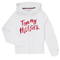 Tommy Hilfiger  Kinder-Sweatshirt KG0KG05043