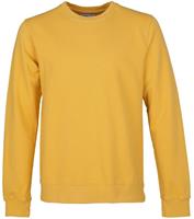 Colorful Standard Sweater Gelb - GrÃ¶ÃŸe L