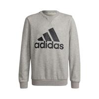 Adidas Big Logo Crewneck Sweatshirt - Grijs/Zwart Kinderen