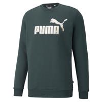 PUMA Sweatshirt »Graphic Crew FL«