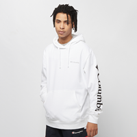 Columbia Männer Hoody Viewmont™ Sleeve Graphic in weiß