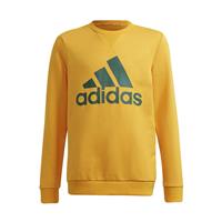 adidas Sweatshirt Big Logo - Oranje/Groen