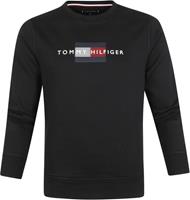 TommyHilfigerBluseLINESHILFIGERCREWNECKMW0MW20118BDSBLACK–