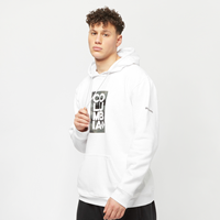 Columbia Männer Hoody CSC Basic Logo™ in weiß