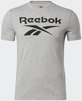Reebok Männer T-Shirt Ri Big Logo in grau