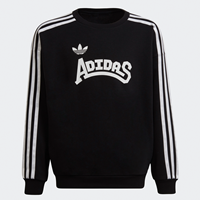 Adidas Grahpics Sweatshirt