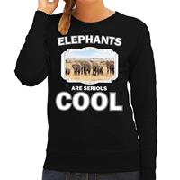 Bellatio Dieren olifanten kudde sweater Zwart