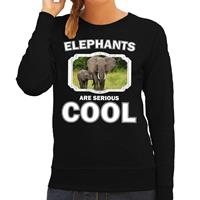Bellatio Dieren olifant met kalf sweater Zwart