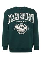 Mavi Rundhalspullover Â»FREE SPIRIT SWEATSHIRTÂ« Rundhals Sweater