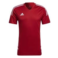 adidas Training T-Shirt Condivo 22 - Rot/Weiß