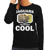 Bellatio Dieren jaguars/ luipaarden sweater Zwart