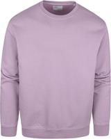 Colorful Standard Sweater Organic Lila