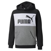 Puma Sweater »Essentials+ Jugend Hoodie in Blockfarben«