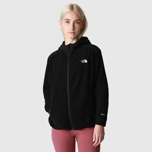 The north face Alpine Polartec 200 Hooded Jacket