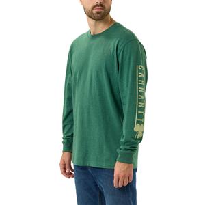 Carhartt Longsleeve - T-shirt met lange mouw en  shamrock-print Groen