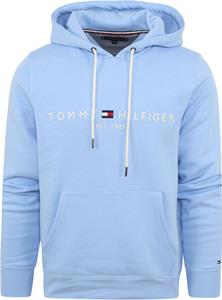 Tommy hilfiger hoodie