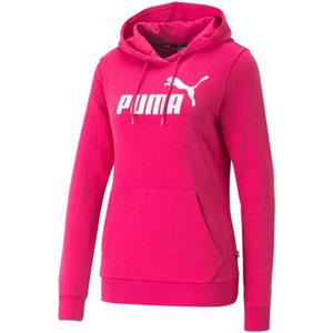 Puma Essentials Big Logo Damen Hoodie