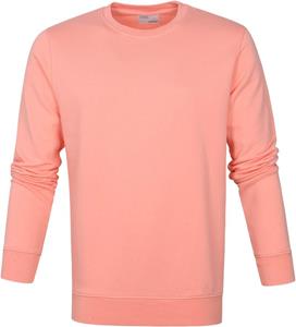 Colorful Standard Sweater Rosa