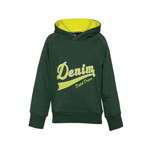 Dutch Dream denim Jongens hoodie - Dume Groen