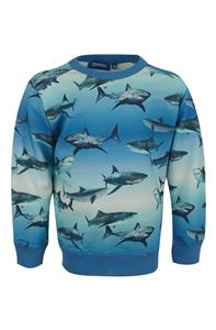 Someone Jongens sweater - Wally-SB-16-C - Blauw