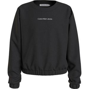Calvin Klein Sweatshirt CKJ BOXY LOGO CN SWEATSHIRT