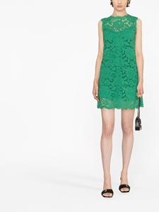 Dolce & Gabbana Mini-jurk met kant - Groen
