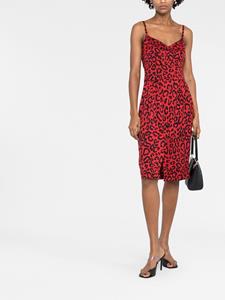 Dolce & Gabbana Midi-jurk met luipaardprint - Rood