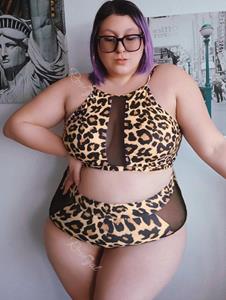 Rosegal Plus Size Leopard Print Mesh Panel Backless Padded Tankini Swimsuit