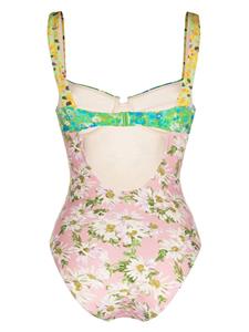 ALEMAIS Kenzie floral-print swimsuit - Roze