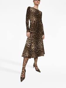 Dolce & Gabbana Midi-jurk met luipaardprint - Bruin