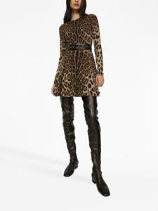 Dolce & Gabbana Mini-jurk met luipaardprint - Bruin