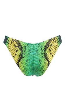 Noire Swimwear Bikinislip met slangenhuidprint - Groen