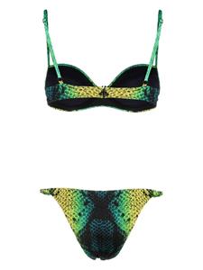 Noire Swimwear Bikini met slangenprint - Groen