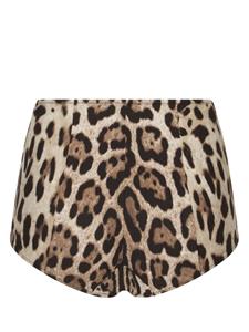 Dolce & Gabbana Bikinislip met luipaardprint - Bruin