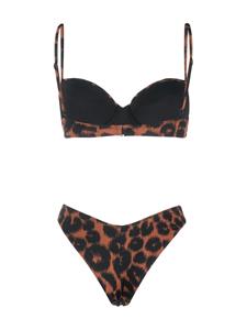 Noire Swimwear Bikini met luipaardprint - Zwart