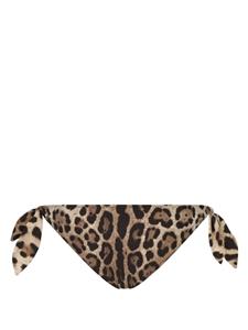 Dolce & Gabbana Bikinislip met luipaardprint - Bruin