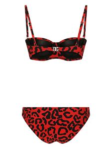 Dolce & Gabbana Bikini met luipaardprint - Rood