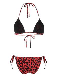 Dolce & Gabbana Bikini met luipaardprint - Rood